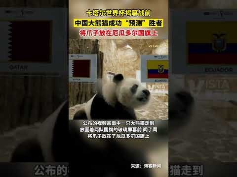 悲訊,利物浦球星,薩拉赫確診,爱游戏app,爱游戏官网,爱游戏体育官网,爱游戏体育app