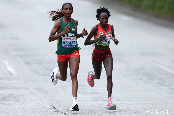 凯尔特人连,克太阳,赛场,爱游戏app,爱游戏官网,爱游戏体育官网,爱游戏体育app